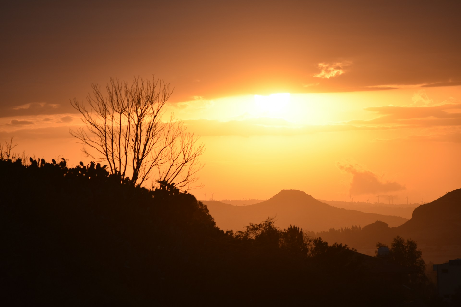 Photo by Diana Yohannes on Unsplash